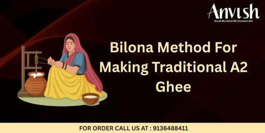 Bilona Ghee Making Process