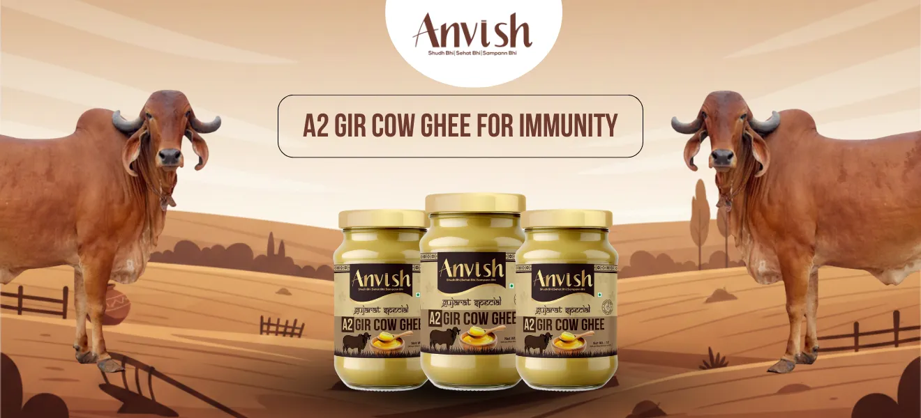 A2 Gir cow ghee for immunity