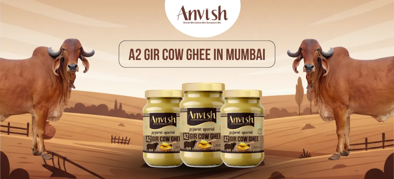 A2 Gir cow ghee in Mumbai