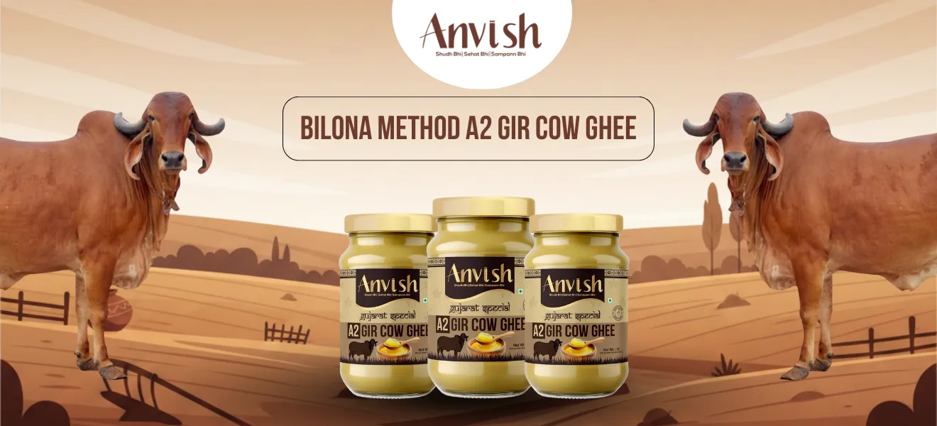 Bilona method A2 Gir cow ghee