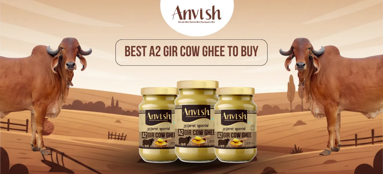 Best A2 Gir Cow Ghee to buy